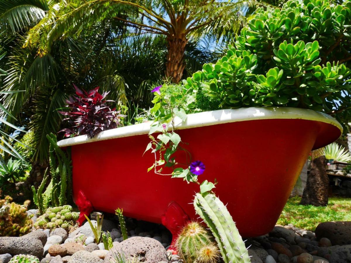 Casas Serenas Estreito Da Calheta Zewnętrze zdjęcie