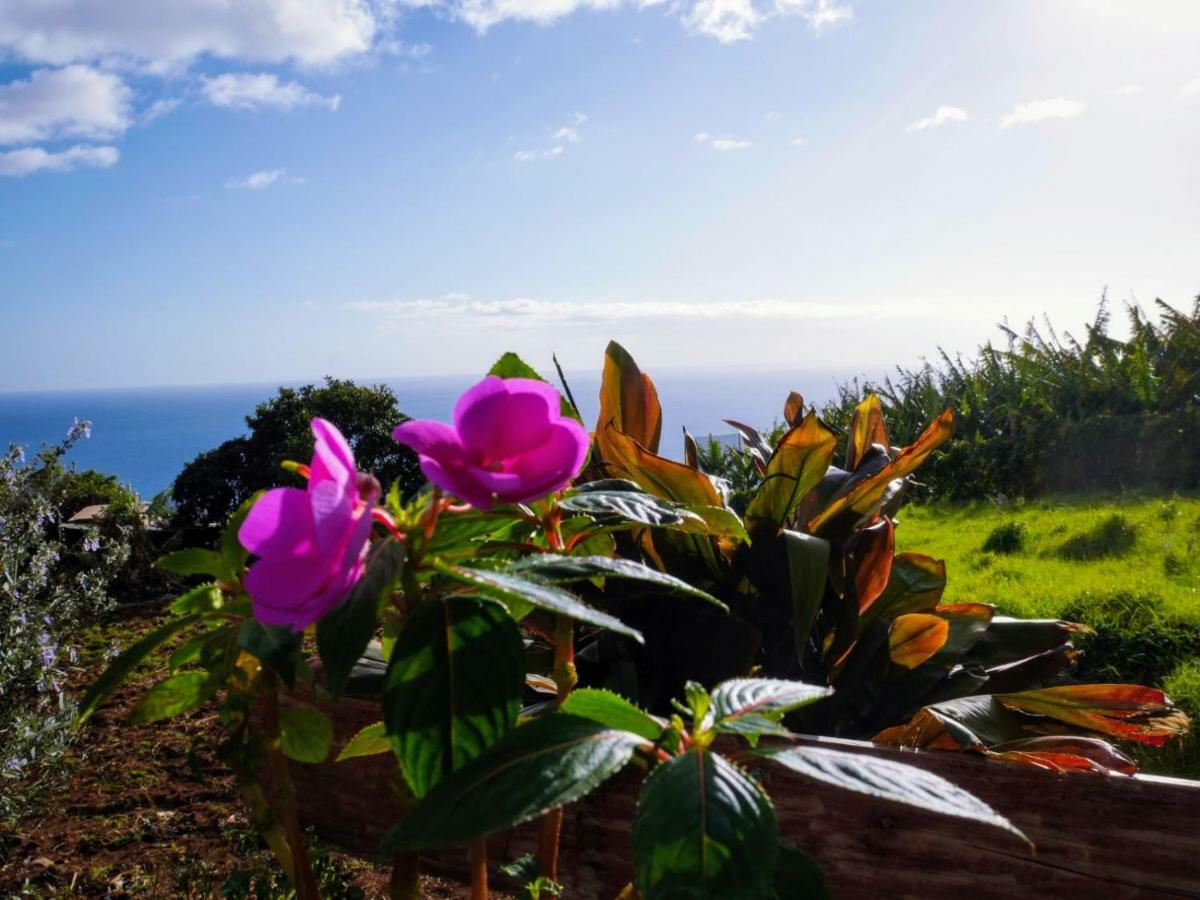 Casas Serenas Estreito Da Calheta Zewnętrze zdjęcie
